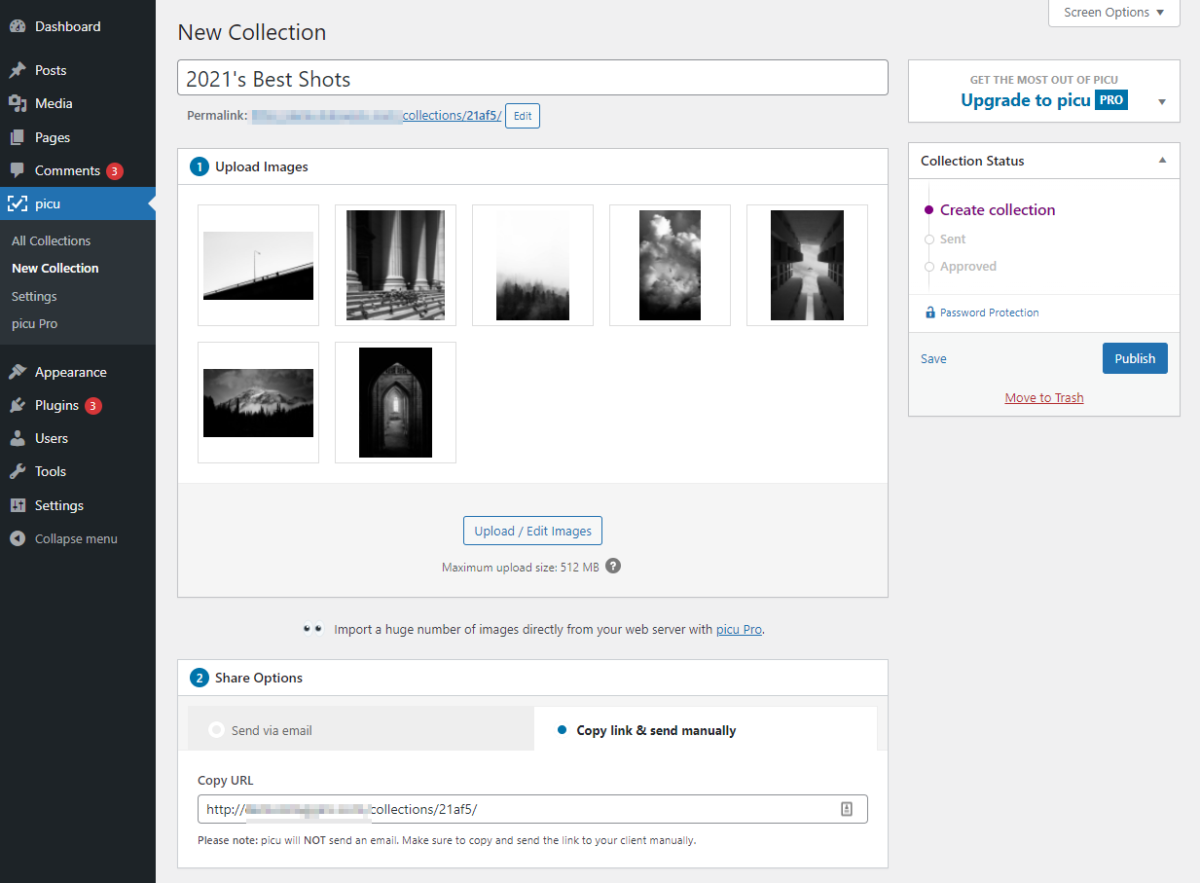 Share Options copy link
