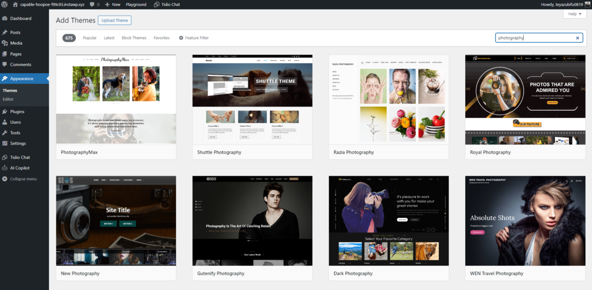 Customization & Design Options - WordPress