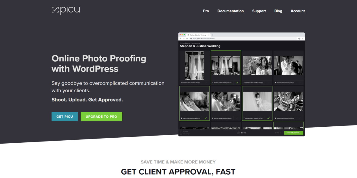 picu WordPress plugin for photo proofing