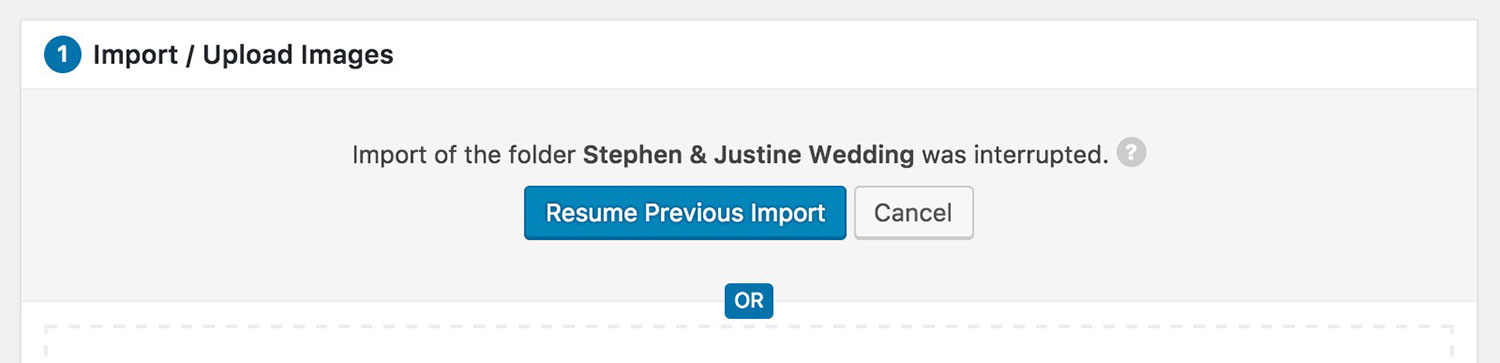 picu Import Addon: Resume previous import
